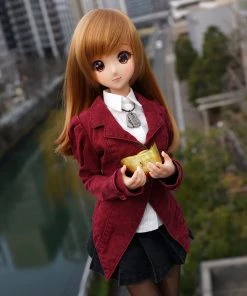 D2 Post Apocalyptic Uniform (Wine Red)